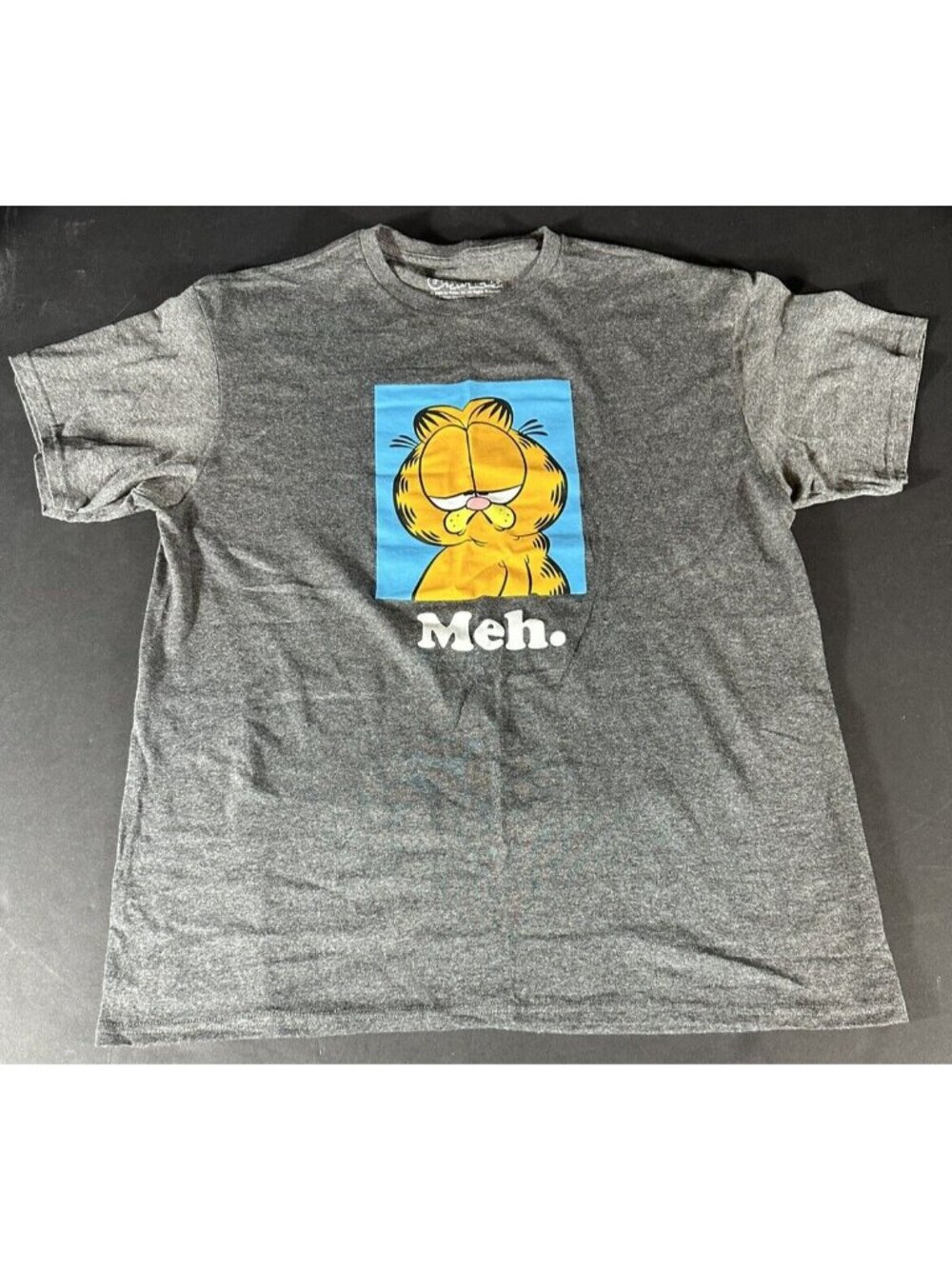Garfield MEH. Men's T Shirt Gray Graphics Comic Book Orange Cat Humor L
